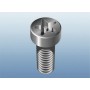 867/4 Z IPR TORX PLUS (5-лучевой) бита, с отверстием, 1/4" E6.3, 10 IPR x 89 мм Wera WE-134657